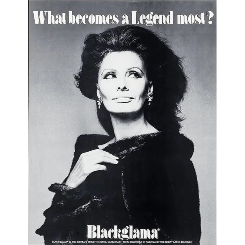 Blackglama Sophia Loren vintage advertising poster - Illustraction Gallery