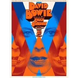 David Bowie Ziggy Stardust limited edition print - illustraction Gallery