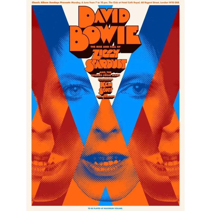 David Bowie Ziggy Stardust limited edition print - illustraction Gallery
