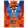 David Bowie Ziggy Stardust limited edition print - illustraction Gallery