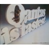 Qantas Airlines Is Fastest vintage 1980 travel poster- illustraction Gallery