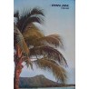 Pan Am Airways Airlines Hawaii vintage 1978 travel poster - illustraction Gallery