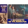 The Young Philadelphians Italian fotobusta movie poster set - illustraction Gallery