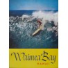 Hawaii Waimea Bay surfing vintage 1967 Loo Art poster - Illustraction Gallery