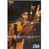 Bruce Lee Japanese personality movie poster - illustraction Gallery