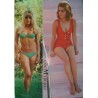 Ann-Margret and Sharon Tate 1968 Japanese press clipping poster - illustraction Gallery