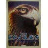 The Eagles Mountain View 1994 BGP concert poster - illustraction Gallery