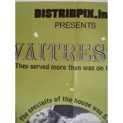 The Waitresses one sheet movie poster - illustraction Gallery