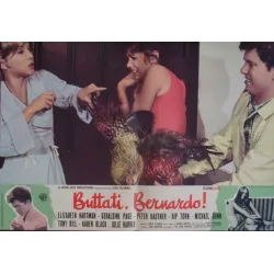 You're A Big Boy Now Italian fotobusta movie poster set - illustraction Gallery