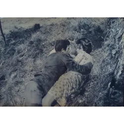 La ciociara (Two Women) Italian fotobusta movie poster set - illustraction Gallery