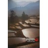 Japan Airlines Rice Paddies (1982)