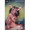 Cher Take Me Home 1979 promotional record poster - illustraction Gallery