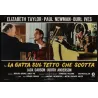 Cat On A Hot Tin Roof italian fotobusta movie poster - Illustraction Gallery