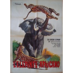 King Elephant (Italian 2F)