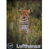 Lufthansa Airlines Kenya vintage 1984 travel poster - illustraction Gallery