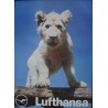 Lufthansa Africa Lion Cub (1984)
