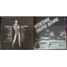 David Bowie 1973 Japanese tour program - illustraction Gallery