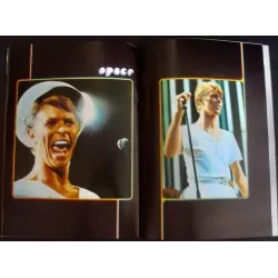 David Bowie 1978 Japanese tour program - illustraction Gallery