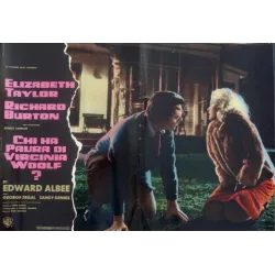 Who's Afraid Of Virginia Woolf? Italian fotobusta movie poster set - illustraction Gallery