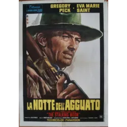 Stalking Moon (Italian 2F)