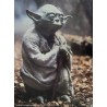 Star WarsThe Empire Strikes Back Fan Club set of 6 Stills - illustraction Gallery