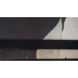 The Loves Of Isadora Polish movie poster - illustraction Gallery