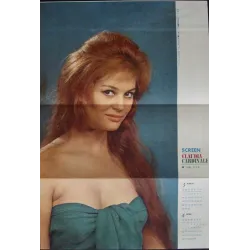 il gattopardo (The Leopard) Japanese movie poster - illustraction Gallery