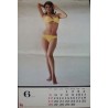 20th Century Fox 1966 Calendar Japanese poster - illustraction Gallery