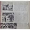 101 Dalmatians Japanese Press Book - illustraction Gallery