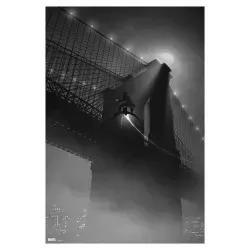 Spiderman Noir limited edition print set by Marko Manev - illustraction Gallery