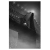 Spiderman Noir limited edition print set by Marko Manev - illustraction Gallery