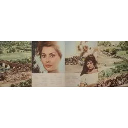 Madame sans-gene Japanese movie poster - illustraction Gallery