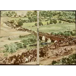 Madame sans-gene Japanese movie poster - illustraction Gallery