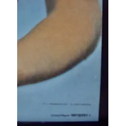 Lindsay Wagner Bio Babe 1977 Commercial poster - illustraction Gallery