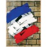 French Flag Over Swastika (1944)