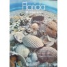 Eastern Airlines Florida Seashells (1970)