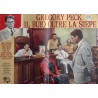To Kill A Mockingbird Italian fotobusta movie poster set - illustraction Gallery