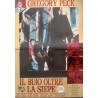 To Kill A Mockingbird Italian fotobusta movie poster set - illustraction Gallery