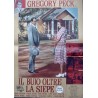 To Kill A Mockingbird Italian fotobusta movie poster set - illustraction Gallery