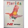 Northeast Airlines Florida (1963 - LB)