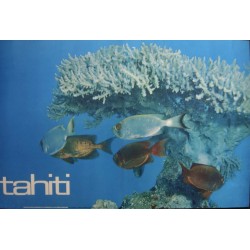 Tahiti: Corals (1963)