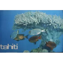 Tahiti: Corals (1963)