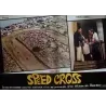 Speed Cross Italian Fotobusta movie poster set - illustraction Gallery