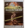 Human Animals (Italian 2F)