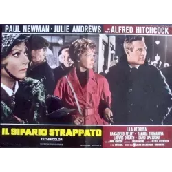 Torn Curtain Italian fotobusta movie poster set - illustraction Gallery