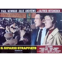 Torn Curtain Italian fotobusta movie poster set - illustraction Gallery
