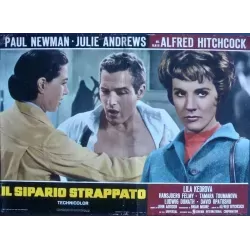 Torn Curtain Italian fotobusta movie poster set - illustraction Gallery