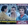 Torn Curtain Italian fotobusta movie poster set - illustraction Gallery