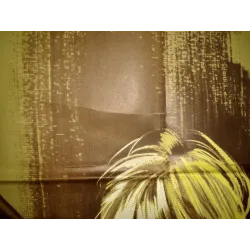 Eros e Thanatos Italian movie poster - illustraction Gallery