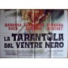The Black Belly Of The Tarantula Italian movie poster - illustraction Gallery